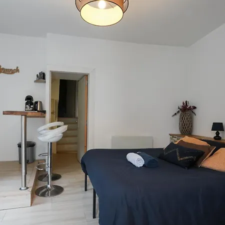 Moderne, Hypercentre De Cholet, Arrivee Autonome ! דירה שולה